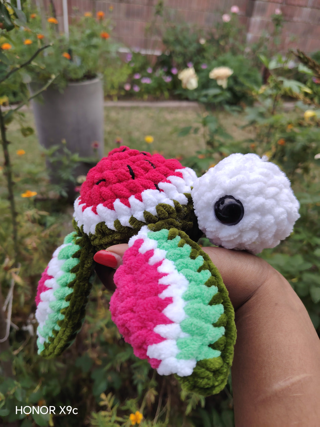 Watermelon turtle