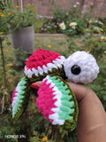 Watermelon turtle