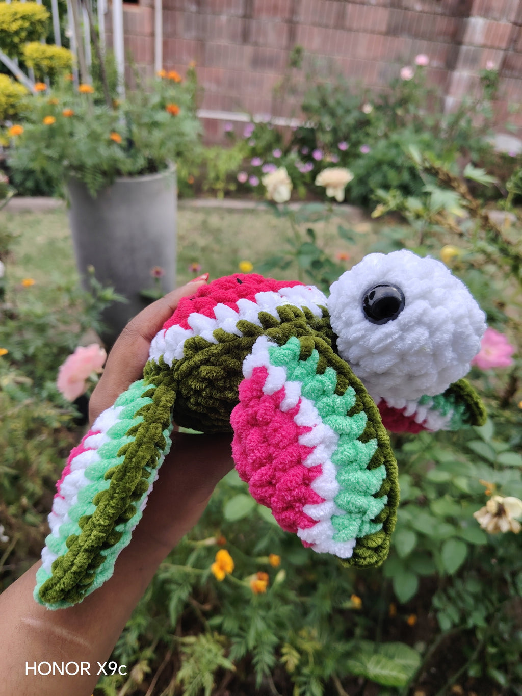 Watermelon turtle