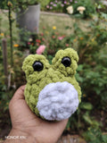 Frog Friend