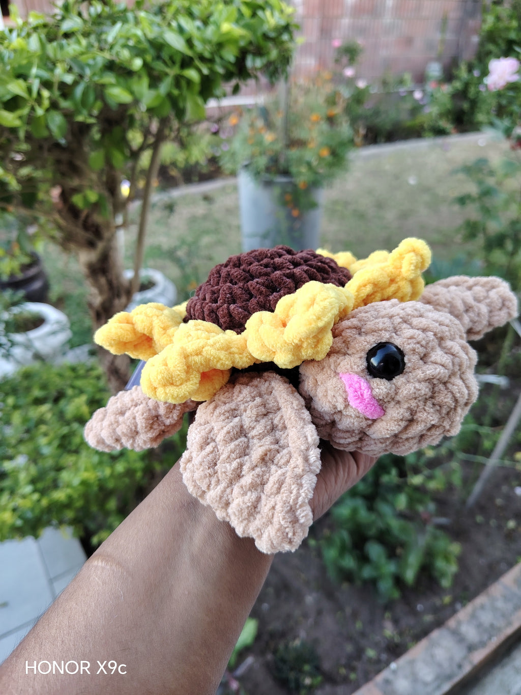 Sunflower Turtle