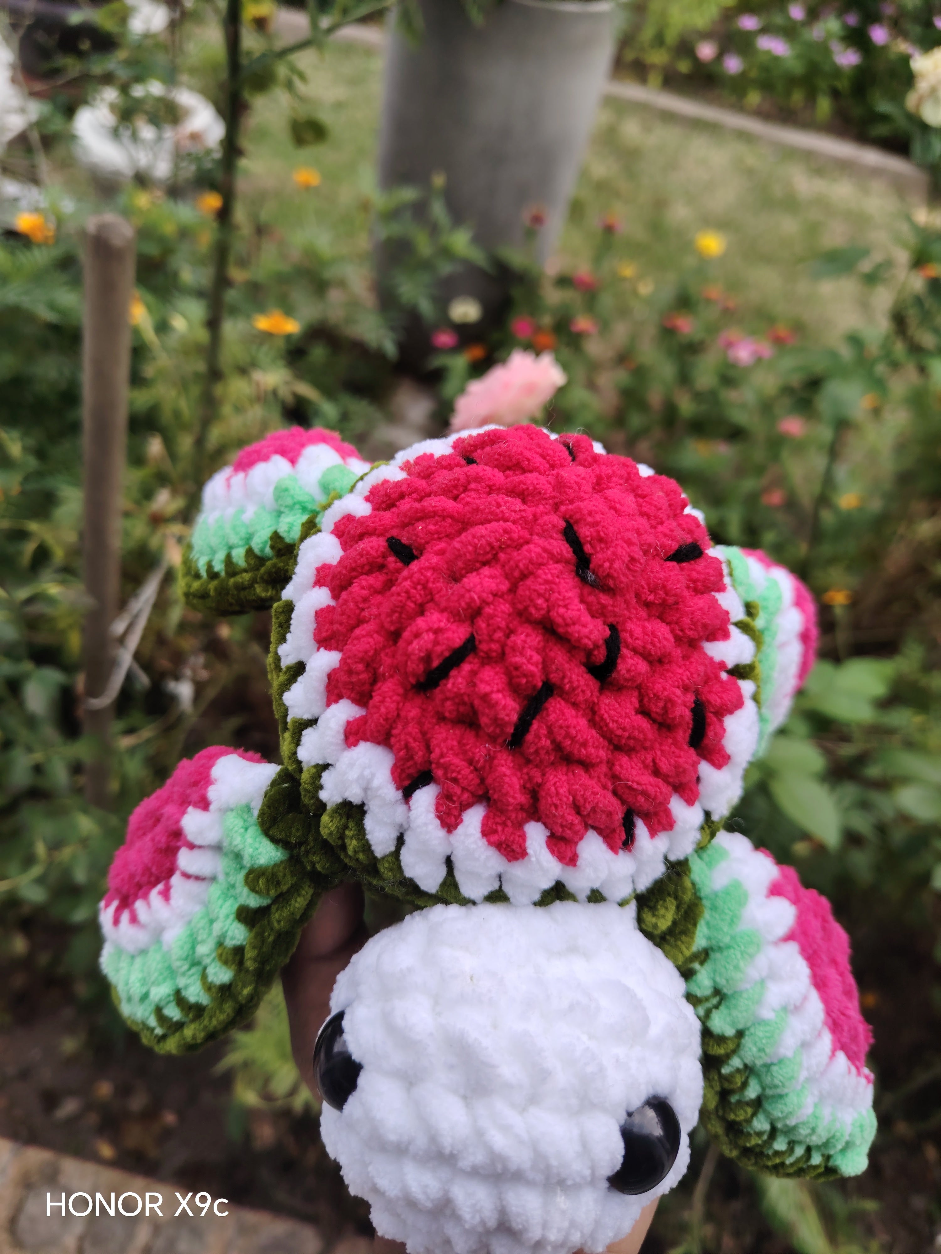 Watermelon turtle