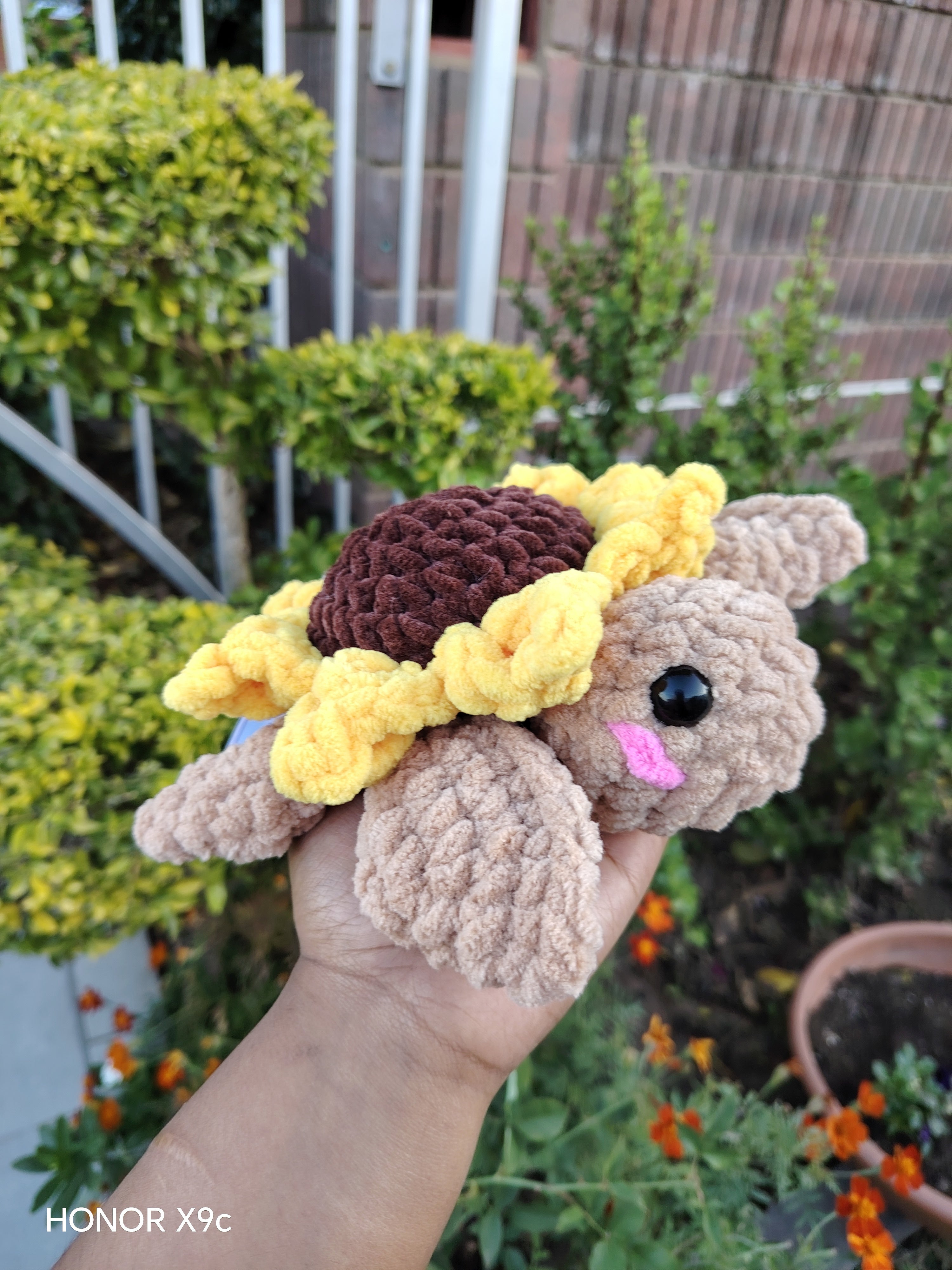 Sunflower Turtle